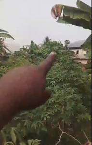 gmany property bedroom flat self contained shop